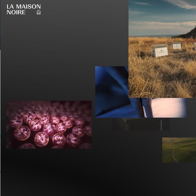 LA MAISON NOIRE